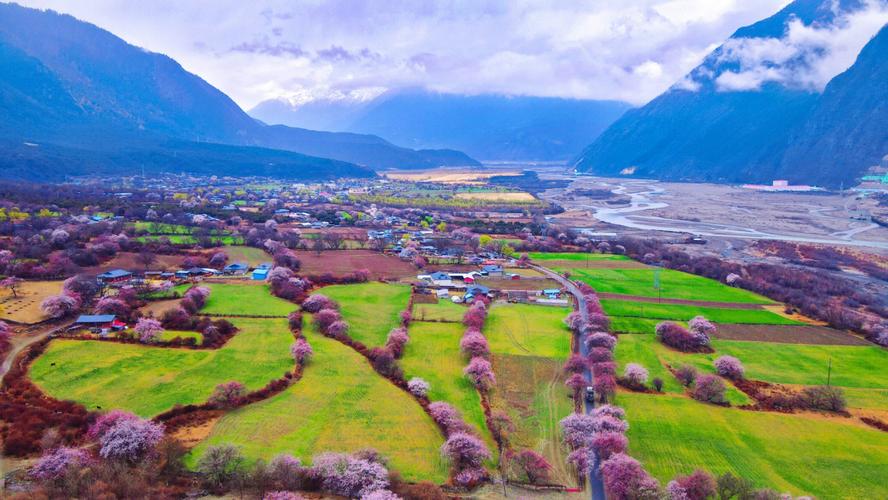 你会在哪些地方遇上桃花