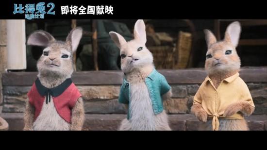 喜剧动作,属兔喜欢的电影类型