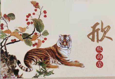 2022年属虎的各方面运势怎么样,属虎的人五行属什么?