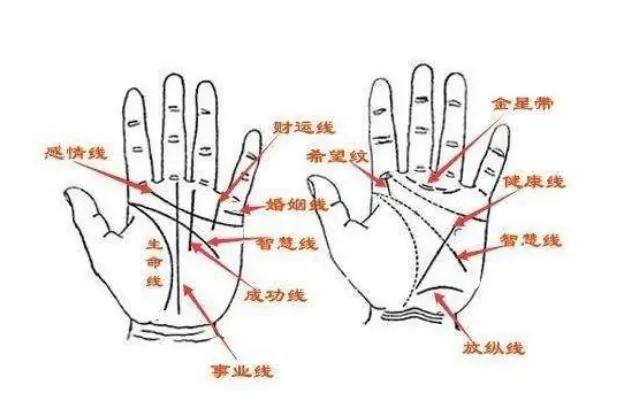 玉柱纹和通天纹的区别有哪些