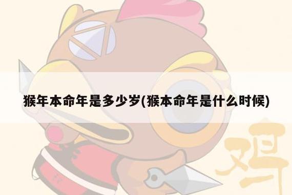 2004年属猴的今年几岁了