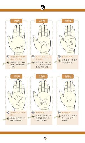 如何通过手相手纹算命?