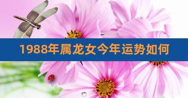1988年属龙女人一生婚姻运势