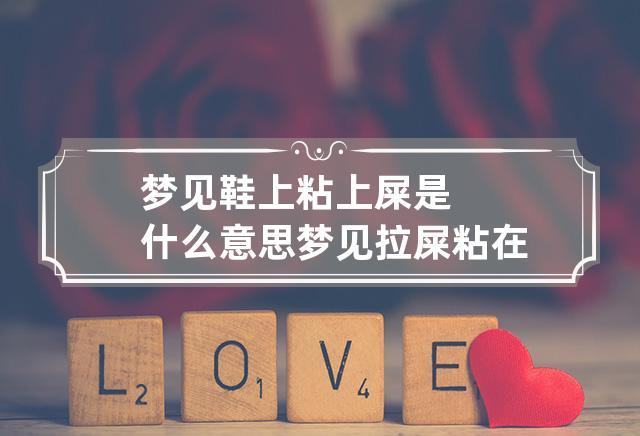 女人梦见鞋子沾到屎什么意思