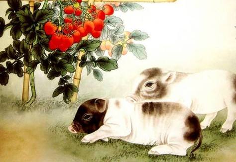 生肖猪女生什么时候最需要安慰