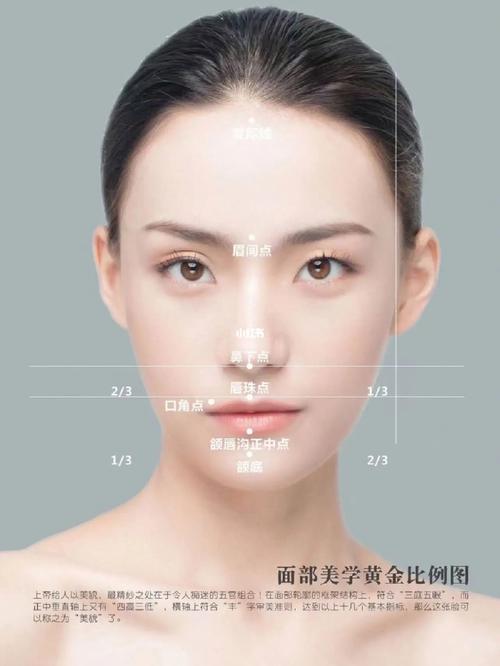 相学与美学中的黄金比例