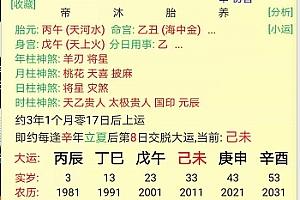 戊子年生人什么命