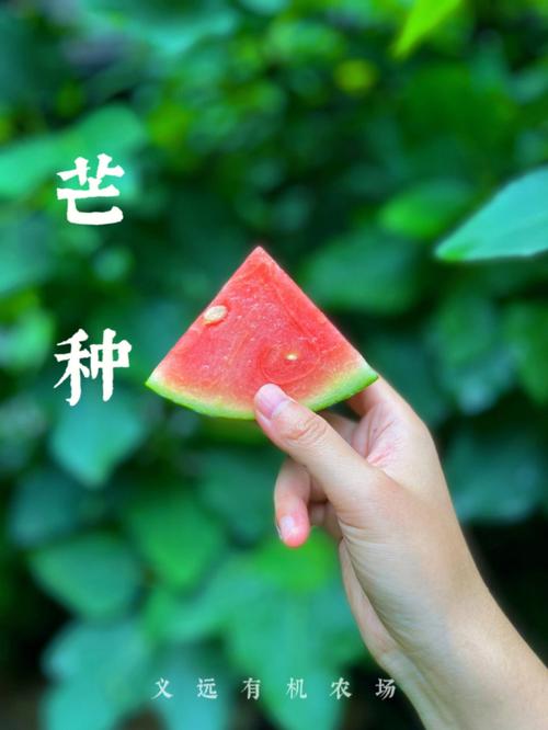 2020芒种出生的鼠宝宝起名字宜用字,芒种出生运势解析!