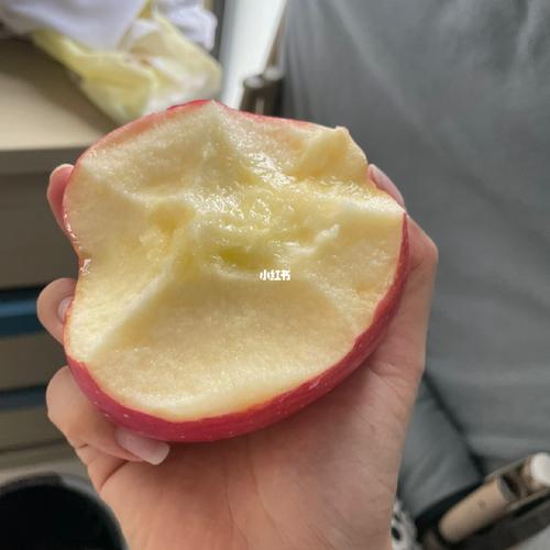 梦见结满苹果吃了一口