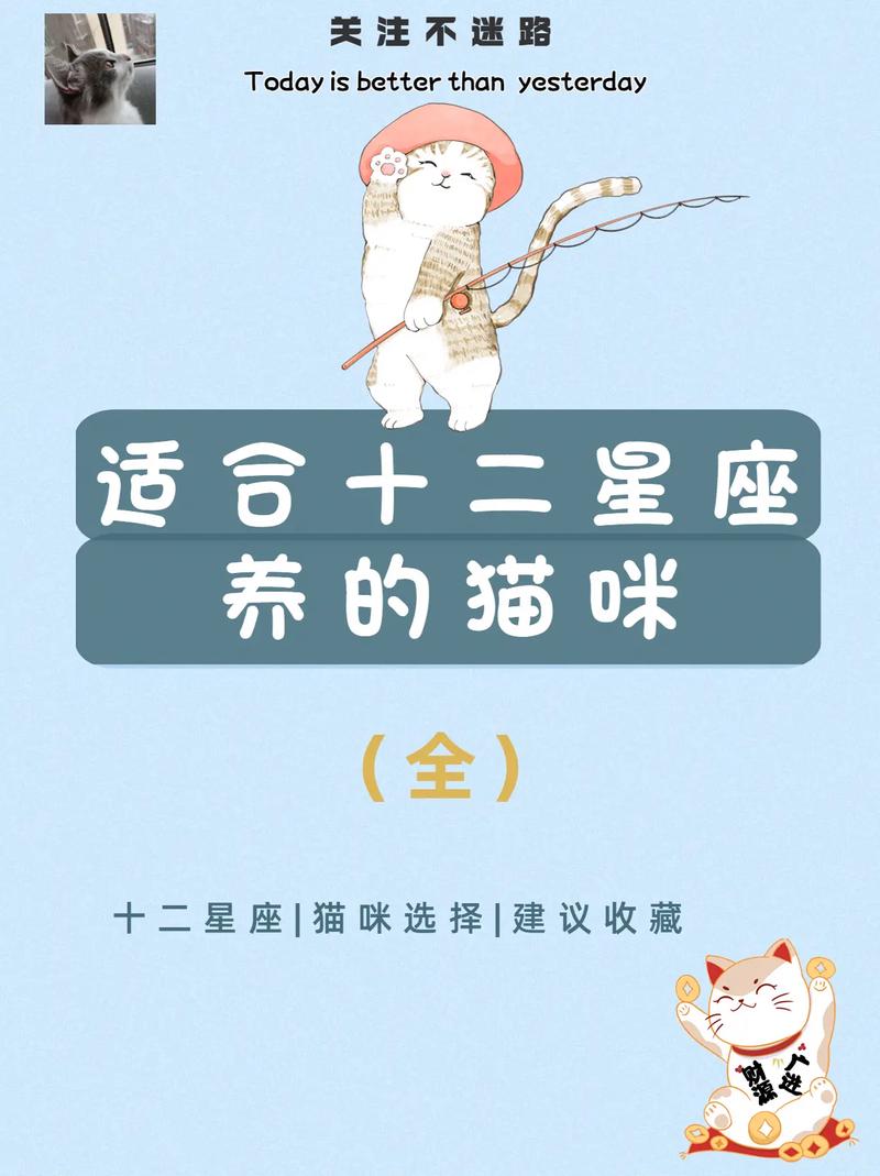 摩羯座适合养什么猫