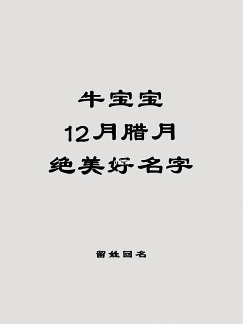 腊月出生的牛宝宝好听文雅的名字