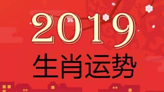 2019运势抢先看 生肖鼠动荡求稳之年