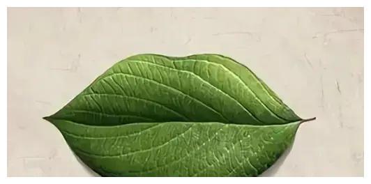 测试2019年你和哪种植物最相似呢