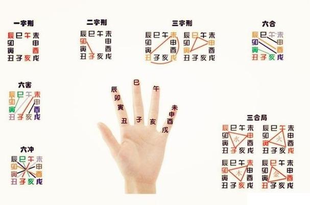 八字算命细论十二地支字碰字