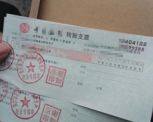 捡到三亿支票 属猪的人是什么心态