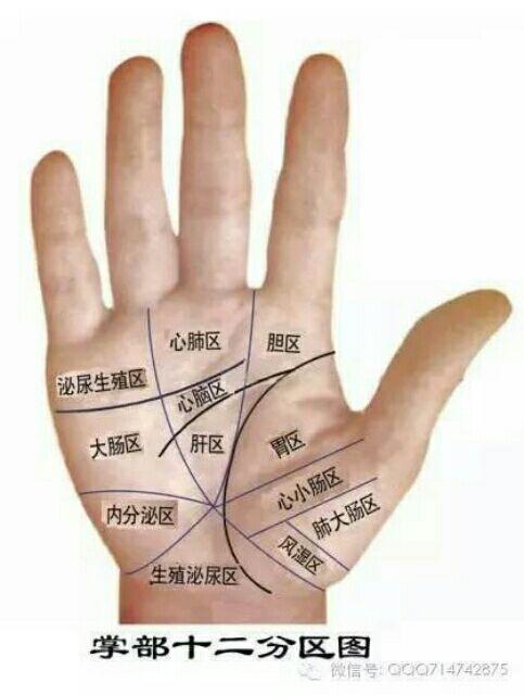 从掌纹看健康,有这四种掌纹的人容易生病