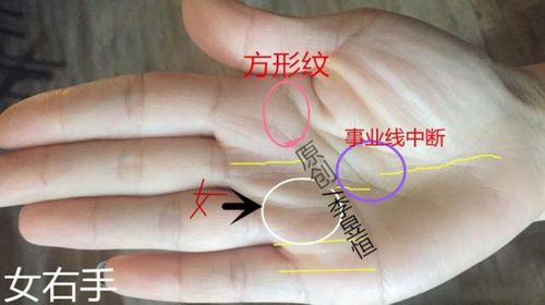 理财纹女人手相特征