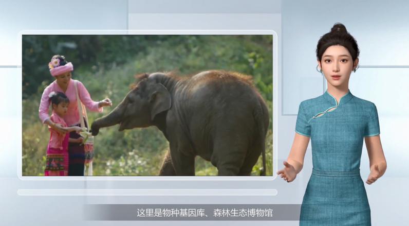 泉中水命人和钗钏金命人可以合作吗