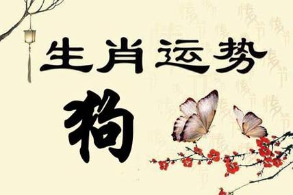 2019年1月属狗的人什么运最好