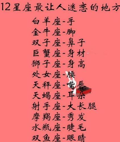 最会混职场的星座女