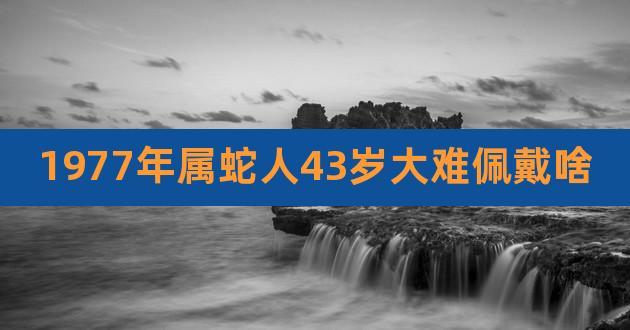 1977年属蛇人43岁大难