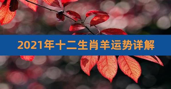 生肖羊在2021下半年运势解析