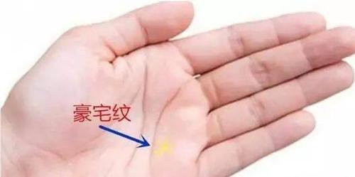 女人两个手都是假凤眼