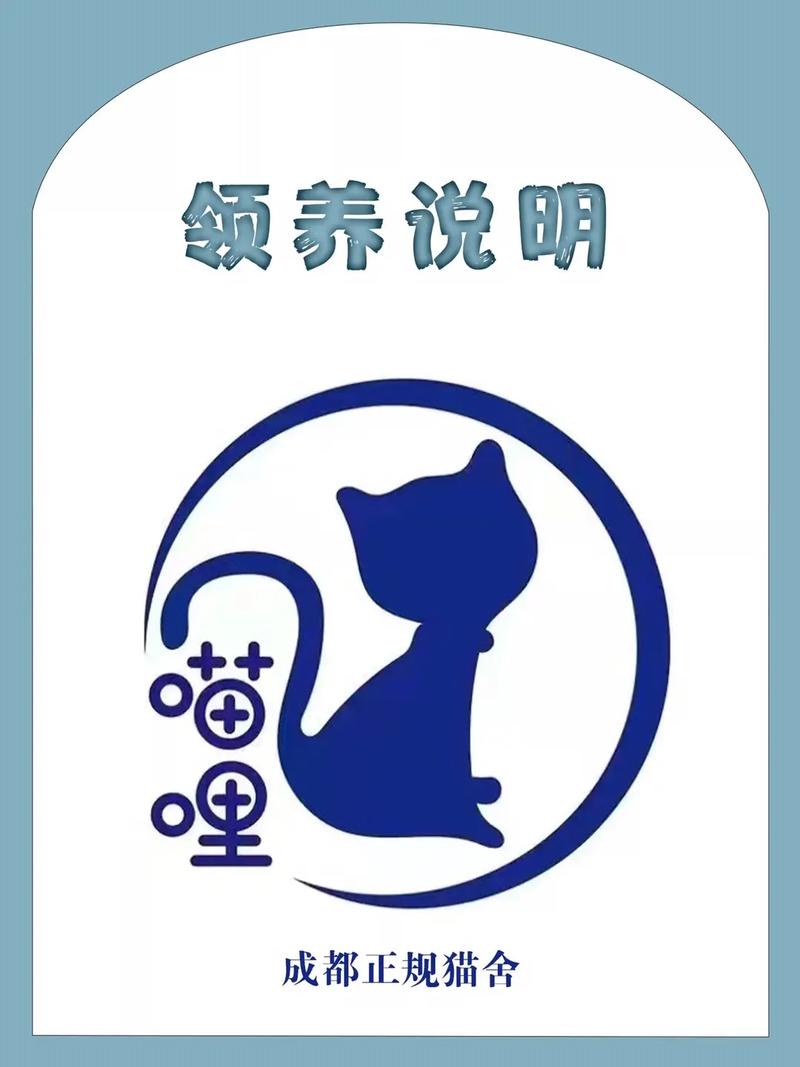 梦见领养周公解梦,梦见领养是什么意思?