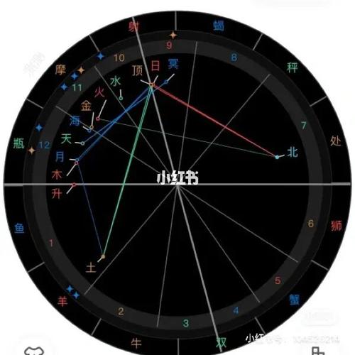 星盘第二宫射手座,星盘推运怎么看