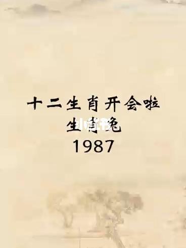 1987属什么生肖属相