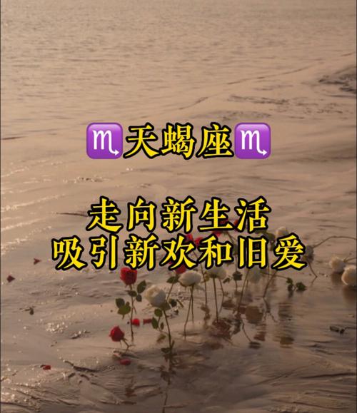 天蝎有新欢了还能复合