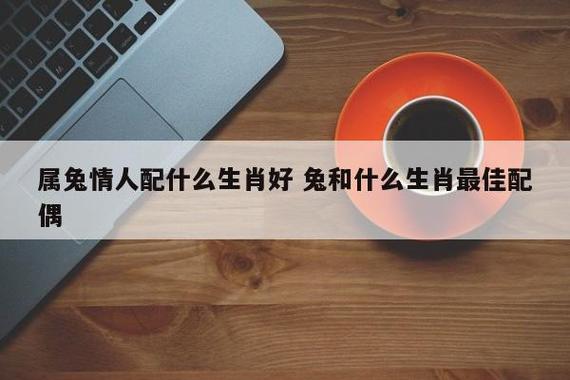 属兔和什么属相适合做情人,第一次见面开始就注定了的那种