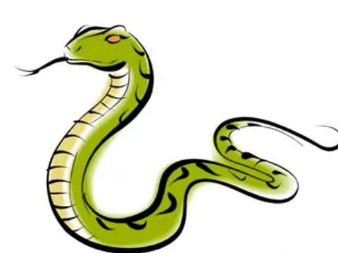 属蛇人哪一年最倒霉,体现在哪些方面