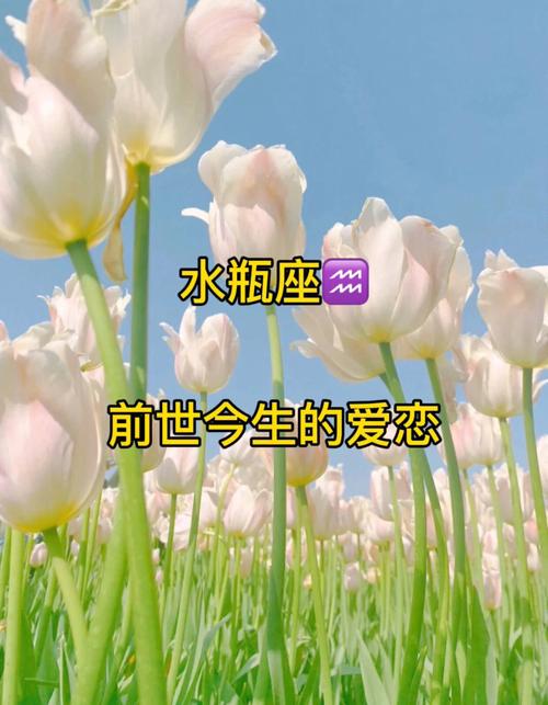 水瓶座的前世仇人