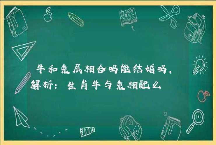 属牛和属兔合吗