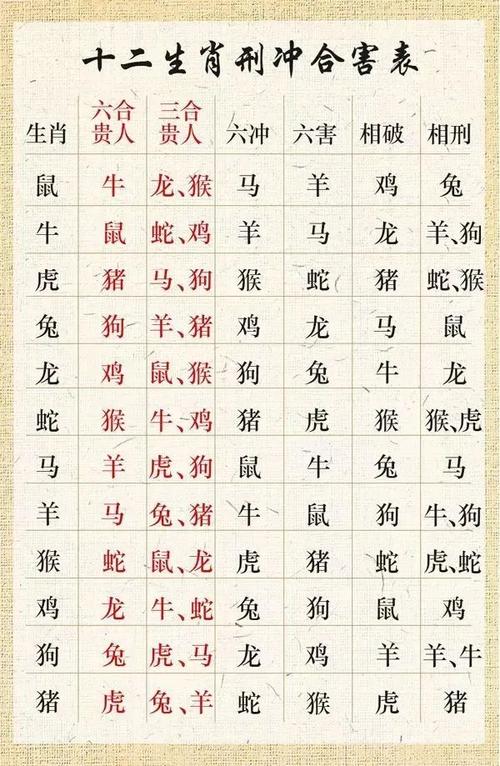 属猪的人哪年犯太岁