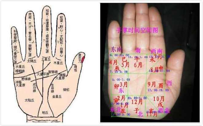 看手掌,手掌八宫看你身体健康状况