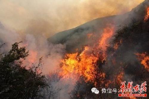梦见山林起火 山中起火怎么回事 梦见山林起火 山中起火有什么预兆