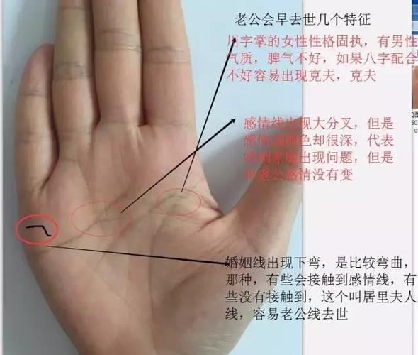 如何从手相中看出未来的婚姻状况?