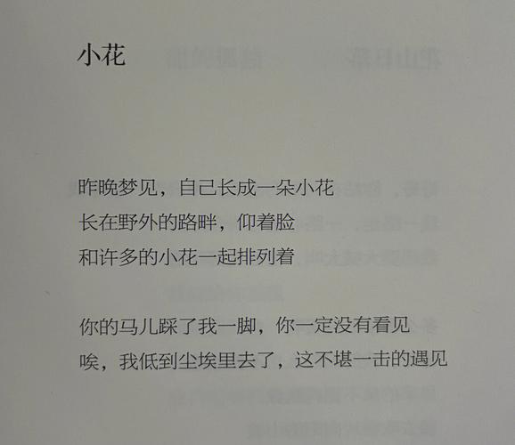 梦见尘埃 周公解梦之梦到尘埃