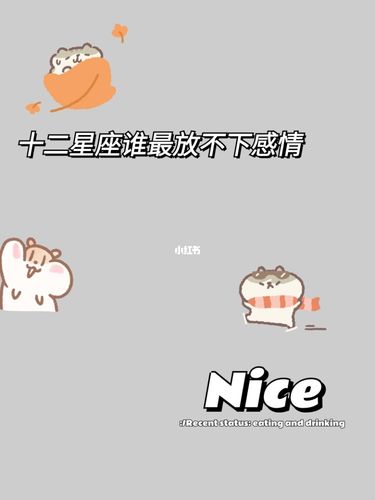 面对感情最放不下的星座