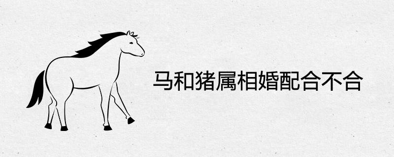 女马男猪在一起好不好？属猪男人的爱情观？