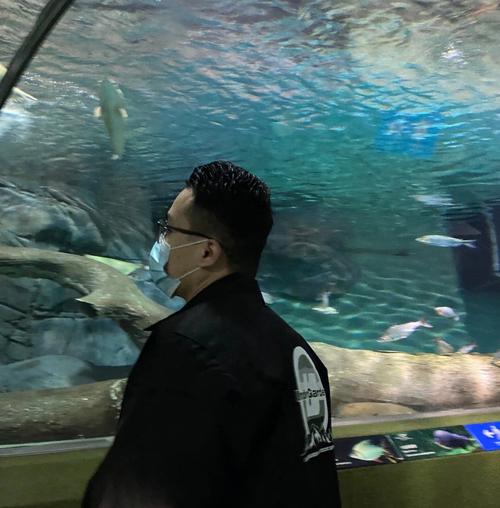 梦见彩色的鱼 梦见五彩鱼代表什么意思