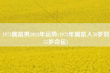 1972年50岁属鼠男在2022下半年整体运势稳定