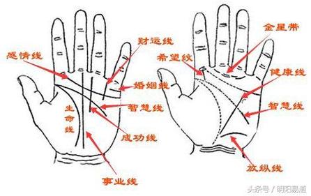 手相图解:男人如何从手相看事业,这种手相事业最容易成功!