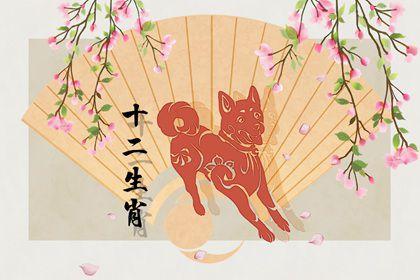 生肖属狗女2020年5月份生小孩好不好,一生保守晚景渐佳