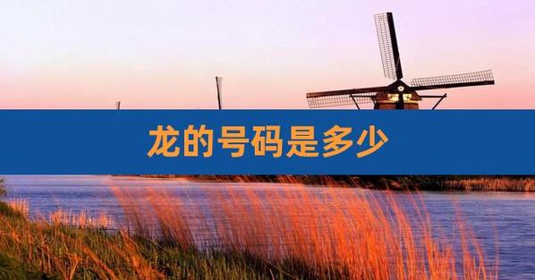 龙的号码是哪几个