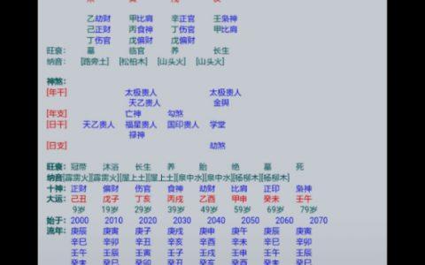 八字时柱枭神无儿女