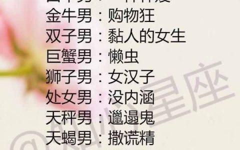 属猪的摩羯座男生性格分析
