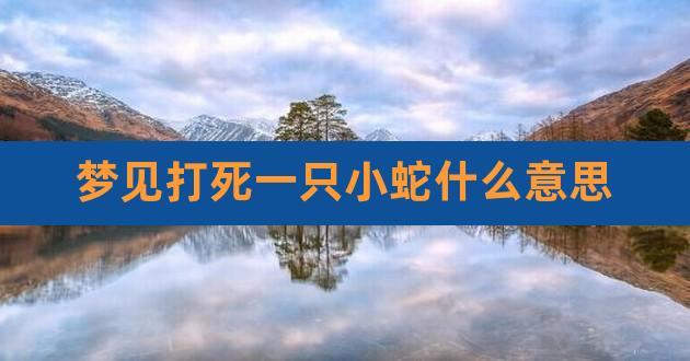 梦见蛇被自己打死了
